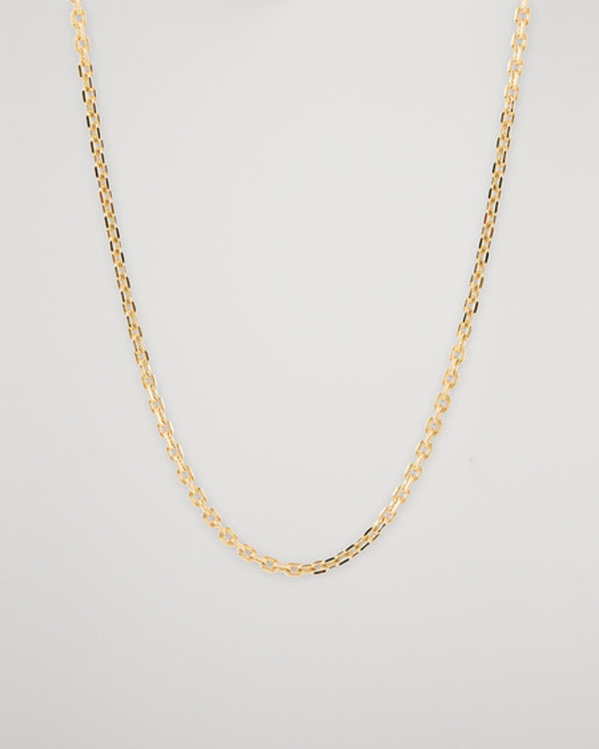 Tom Wood Anker Chain Necklace Gold – gold