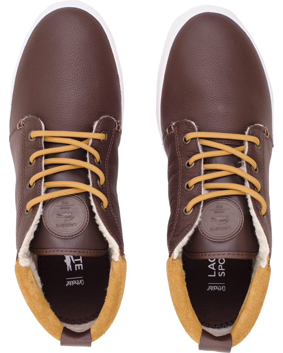 Men | Lacoste Ampthill Terra Mid Sneaker Brown | Lacoste | Ampthill Terra Mid Sneaker Brown