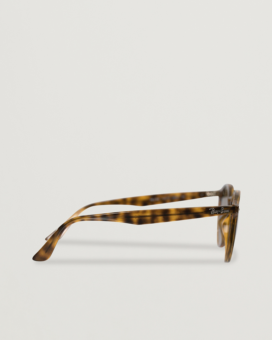 Men | Sunglasses | Ray-Ban | RB2180 Acetat Sunglasses Dark Havana/Dark Brown