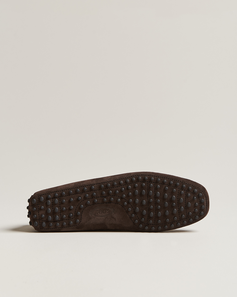 Men | Tod's Lacetto Gommino Carshoe Dark Brown Suede | Tod's | Lacetto Gommino Carshoe Dark Brown Suede