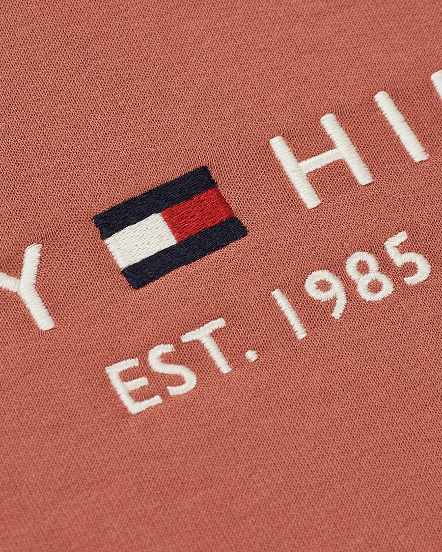 Men | Sweaters & Knitwear | Tommy Hilfiger | Logo Hoodie Mineralize