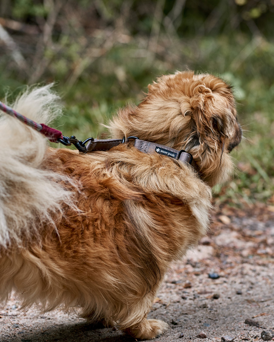 Men | Dog Accessories | Snow Peak | Dog Slip Collar Grey