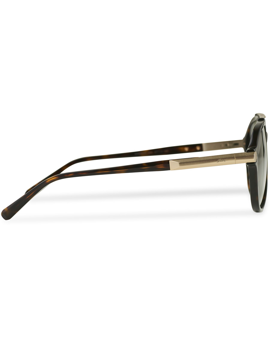 Men | Brioni BR0096S Sunglasses Havana Green | Brioni | BR0096S Sunglasses Havana Green