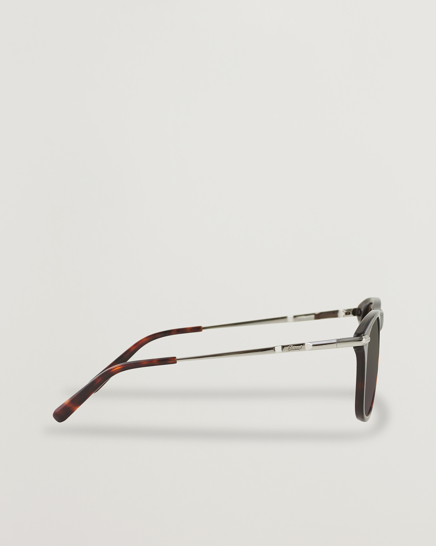 Men | Brioni BR0094S Sunglasses Havana Brown | Brioni | BR0094S Sunglasses Havana Brown