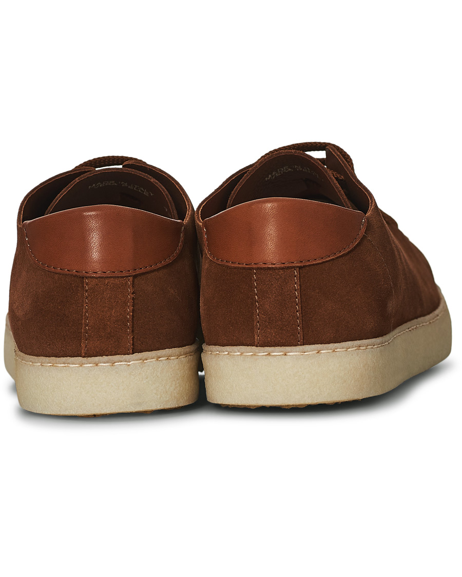 Men | Astorflex Softflex Sneaker Snuff Suede | Astorflex | Softflex Sneaker Snuff Suede