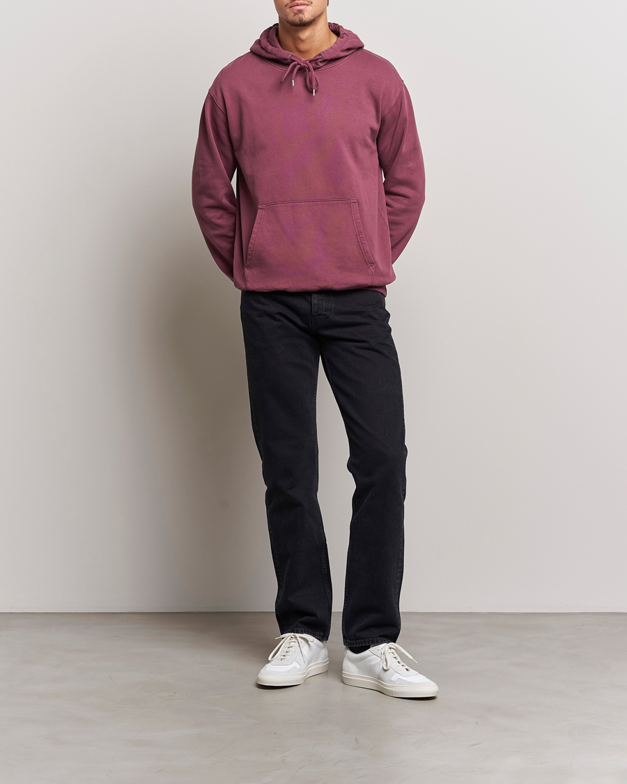 Men | Sweaters & Knitwear | Colorful Standard | Classic Organic Hood Dusty Plum