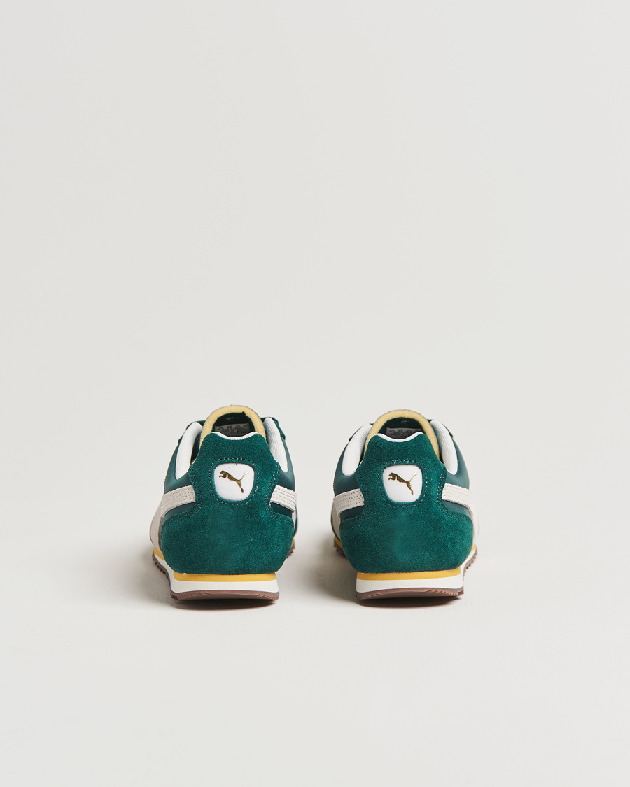 Men | Sneakers | Puma | Arizona Retro Sneaker Dark Myrtle