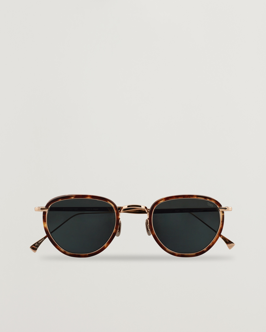Men | Sunglasses | EYEVAN 7285 | 797 Sunglasses Tortoise