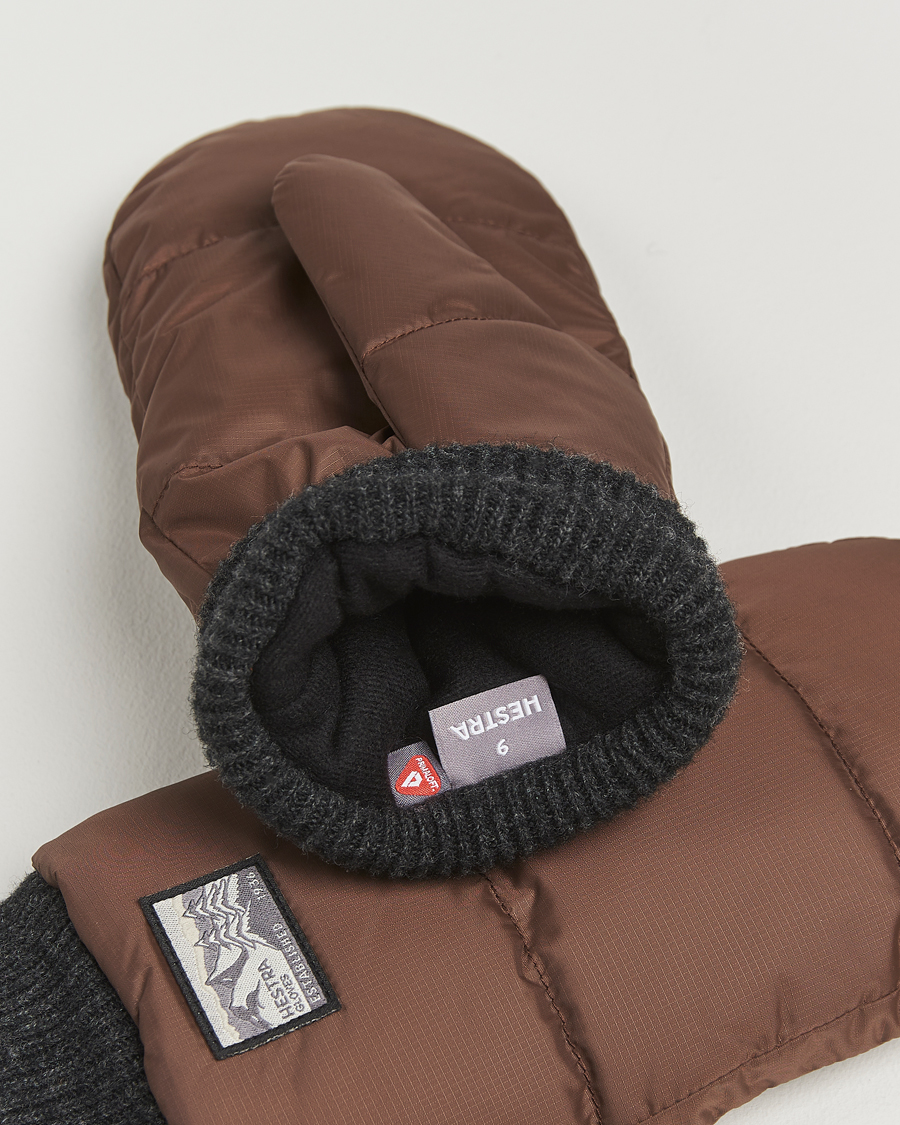 Men | Gloves | Hestra | Otra Wind-/Waterproof Primaloft Glove Chocolate