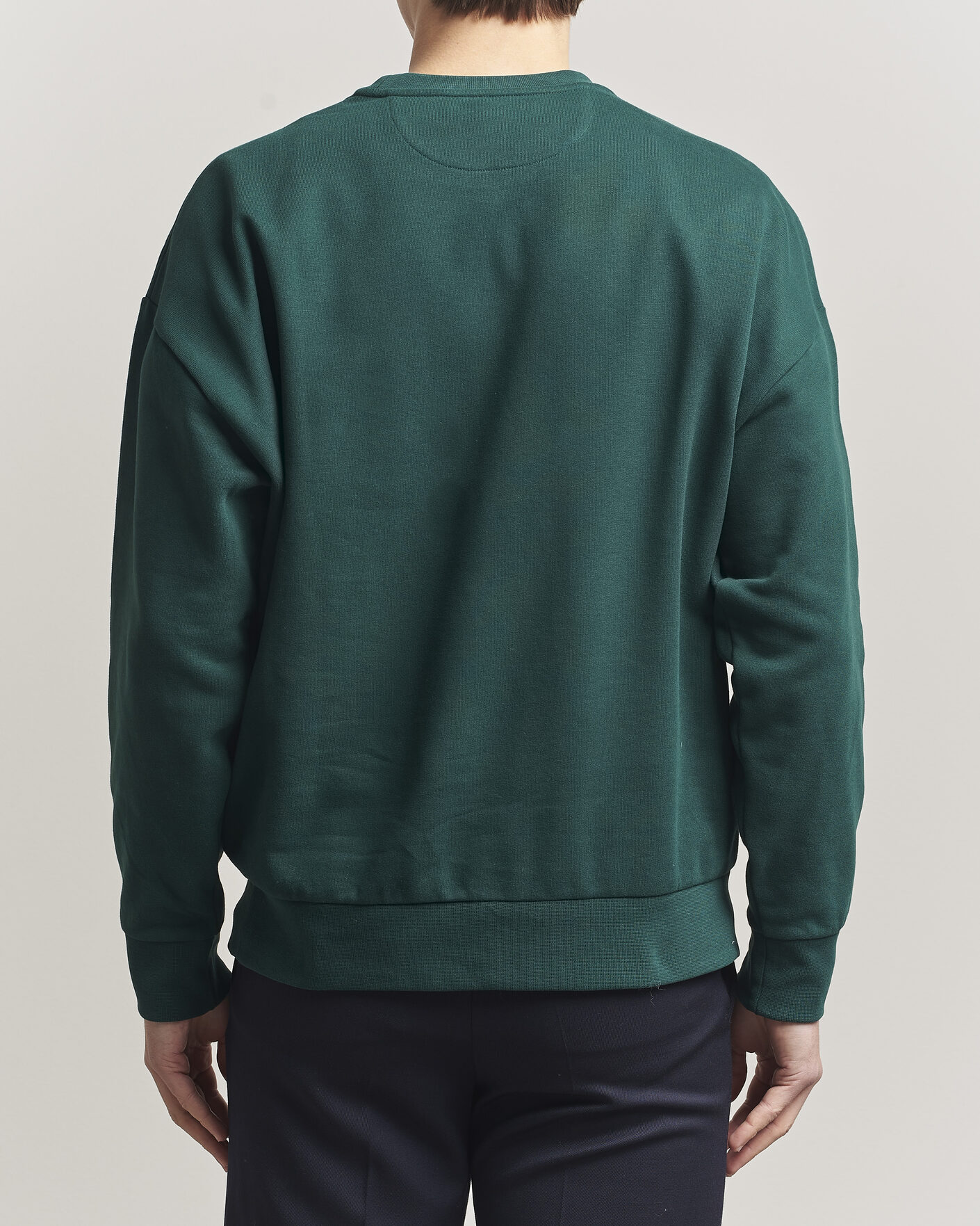 Men | Sweaters & Knitwear | RLX Ralph Lauren | Loopback Terry Bear Sweatshirt Moss Agate