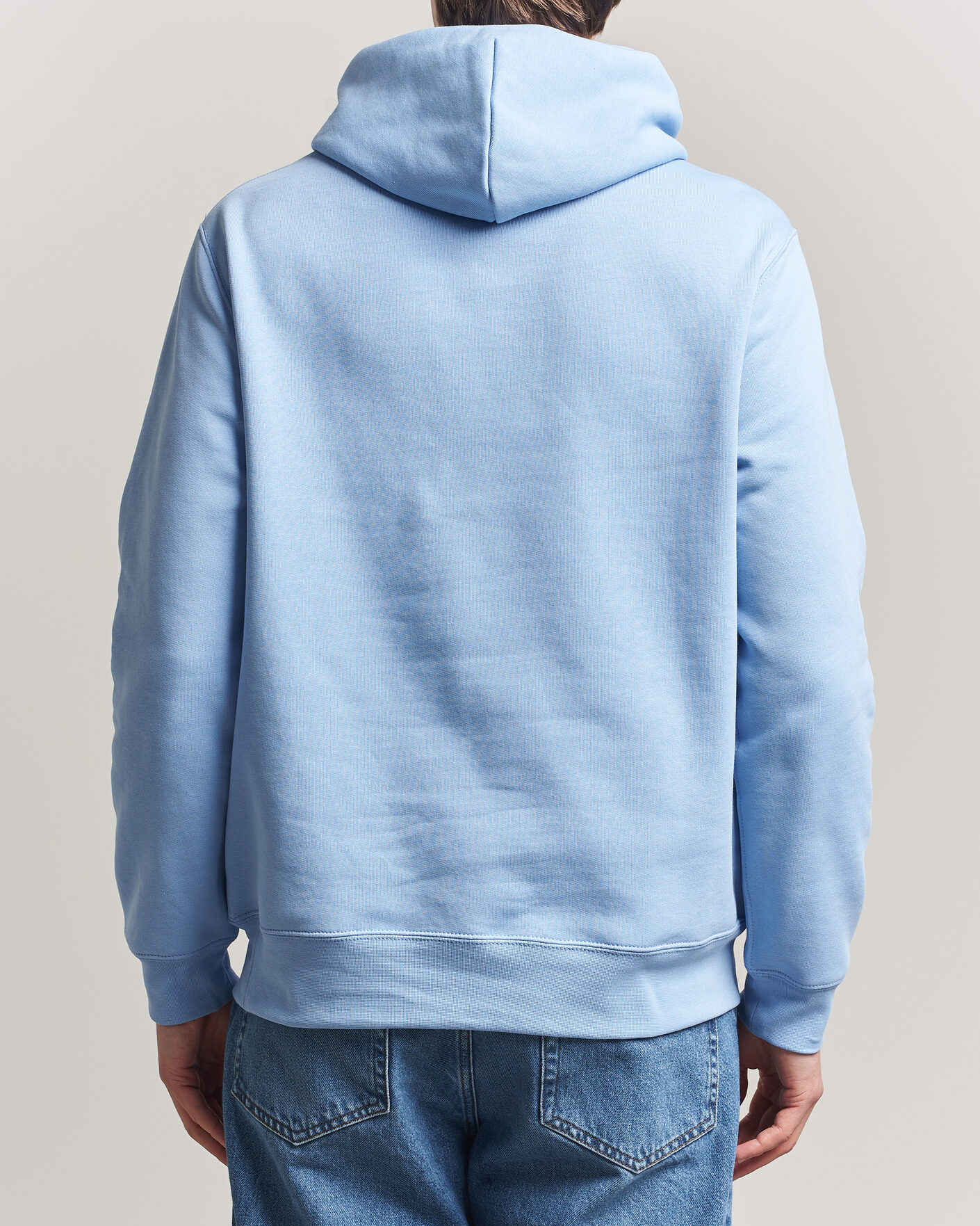 Men | Sweaters & Knitwear | Polo Ralph Lauren | Fleece Bear Hoodie Austin Blue