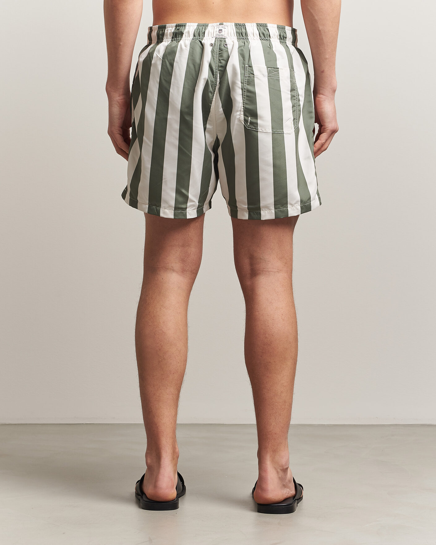 Men | Swimwear | Gant | Blockstriped Swimshorts Dry Herb Green