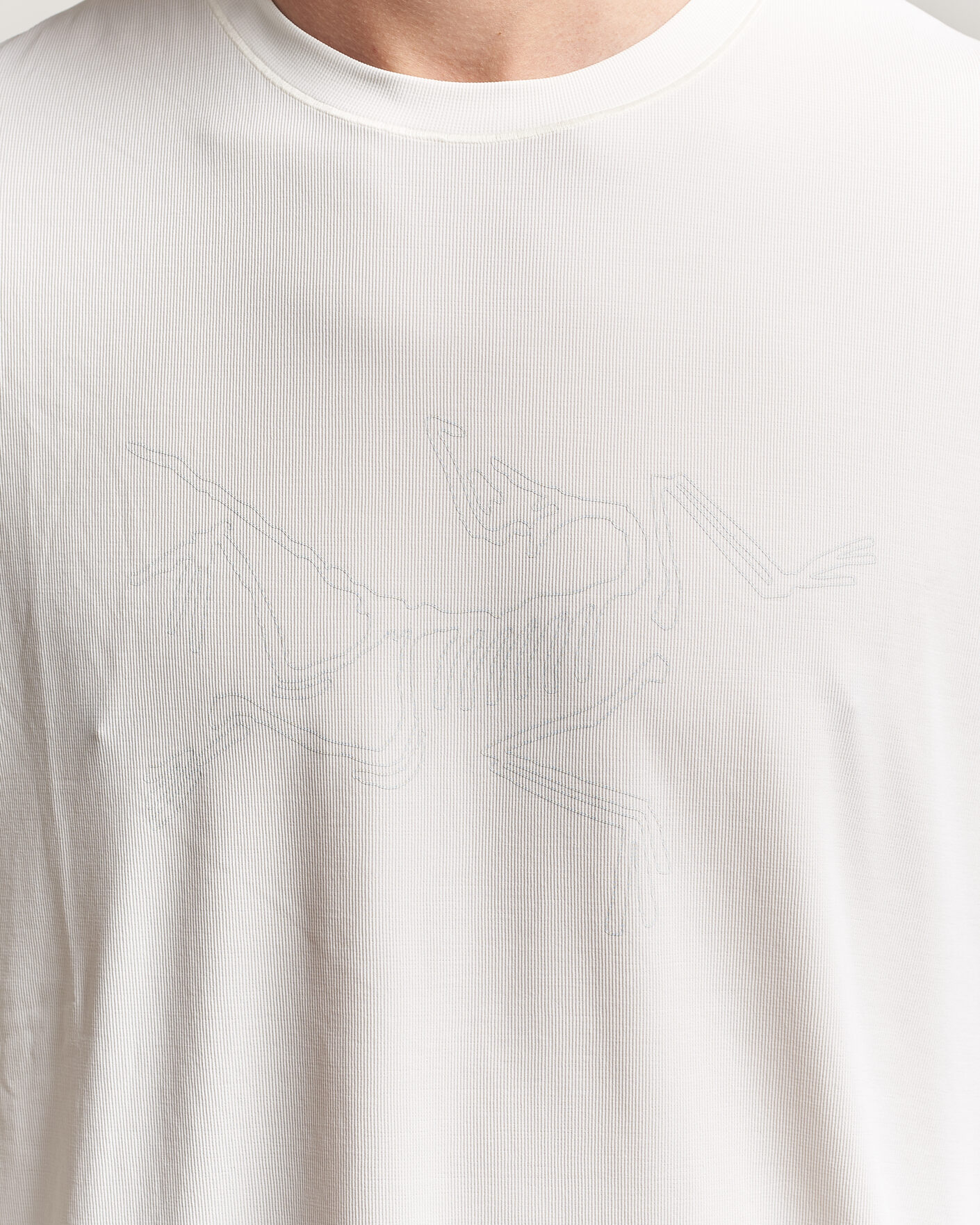 Men | T-Shirts | Arc'teryx | Cormac Bird Logo Crew Neck T-Shirt Arctic Silk
