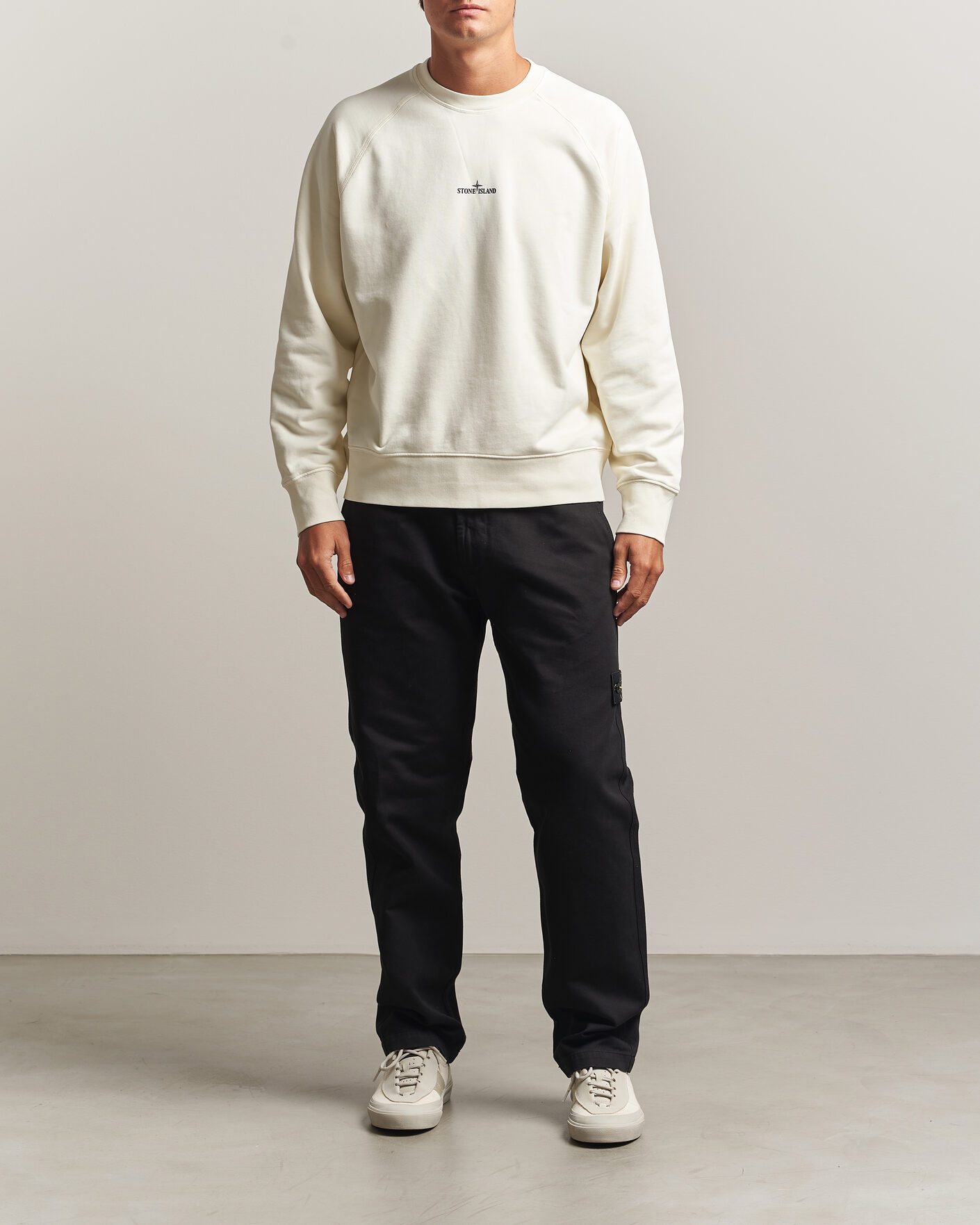 Men | Sweaters & Knitwear | Stone Island | Garment Dyed Fleece Desert Print Sweatshirt Ivory
