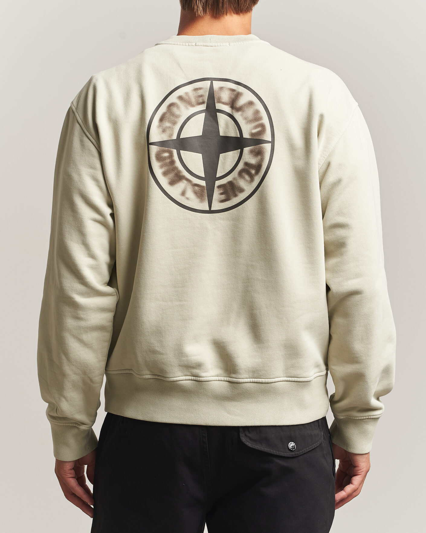 Men | Sweaters & Knitwear | Stone Island | Cotton Fleece Blurred Compas Print Sweatshirt Sand